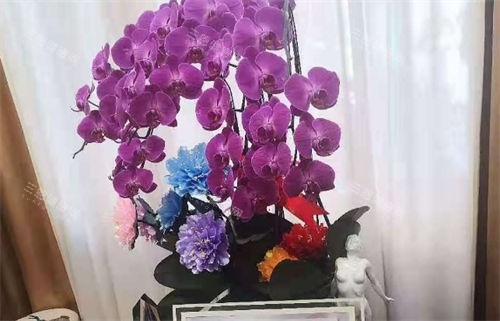 上海虹桥医院私密科大厅陈设 上海虹桥医院私密科大厅陈设
