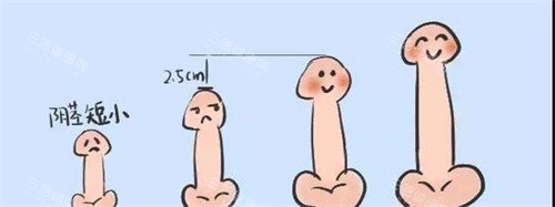 阴茎长度对比动画图
