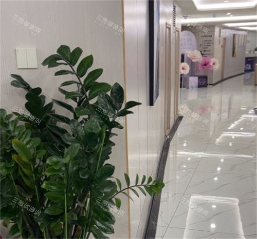 珠海九龙整形环境展示